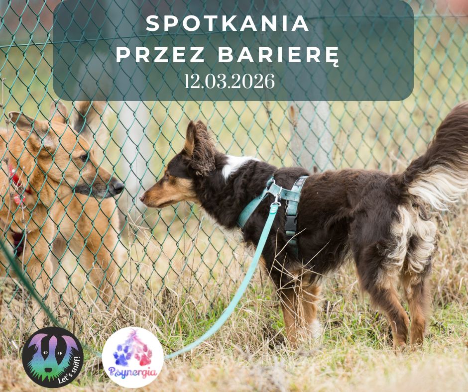 Spotkania przez barierę (1)